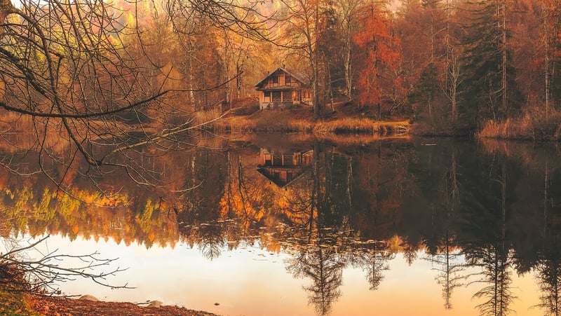 Lakeside Log Cabin